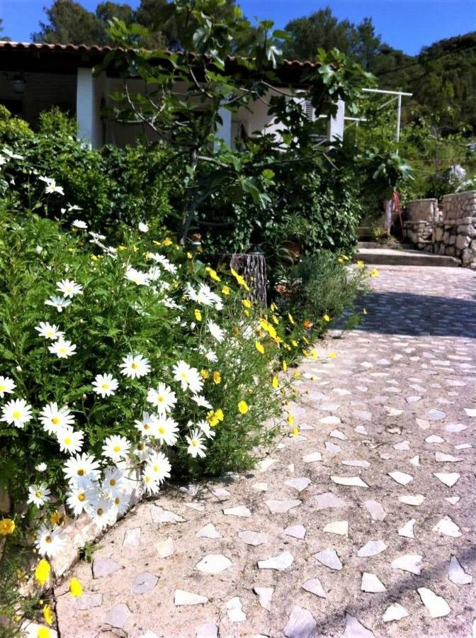 Studio Dolores-Apartment By The Sea Maranovići Dış mekan fotoğraf